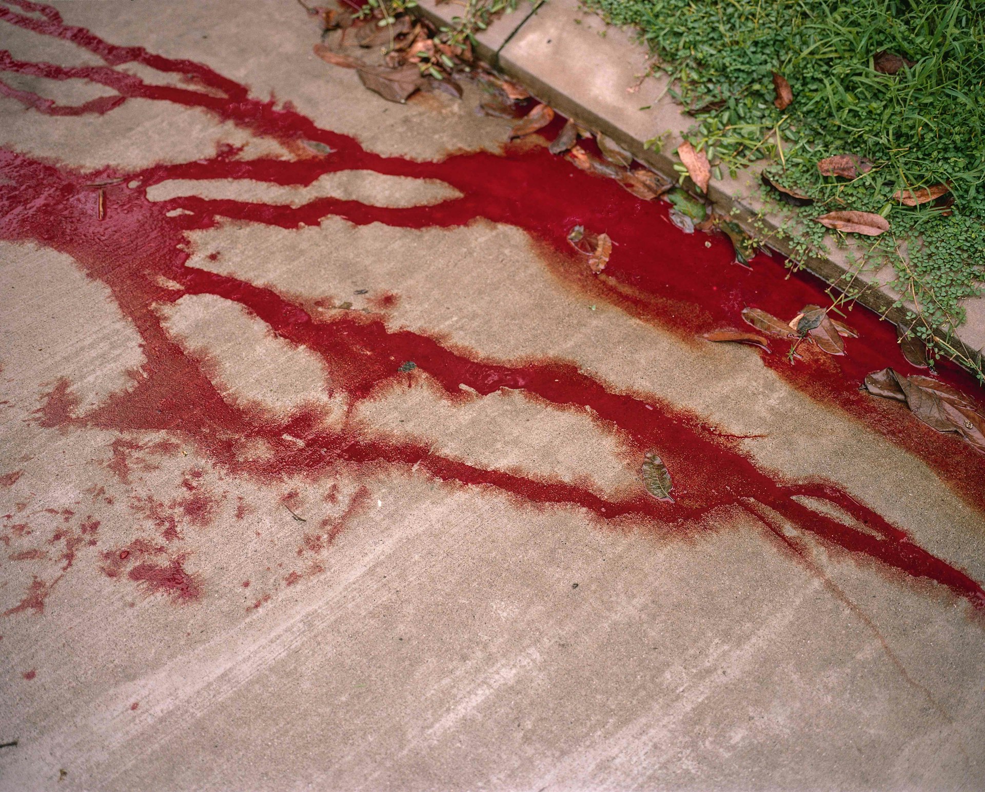 The blood of two brothers and their friend in San Pedro Sula.
