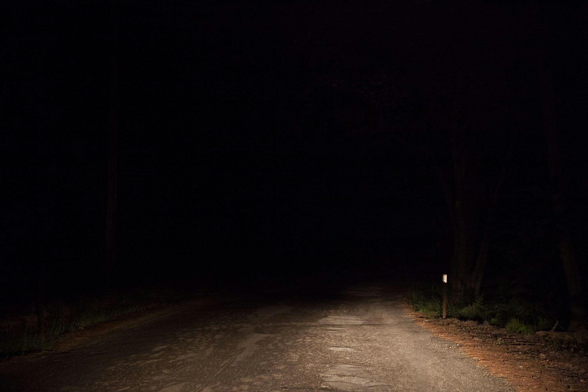 Hermit Woods Road (at night) ©Amani Willett