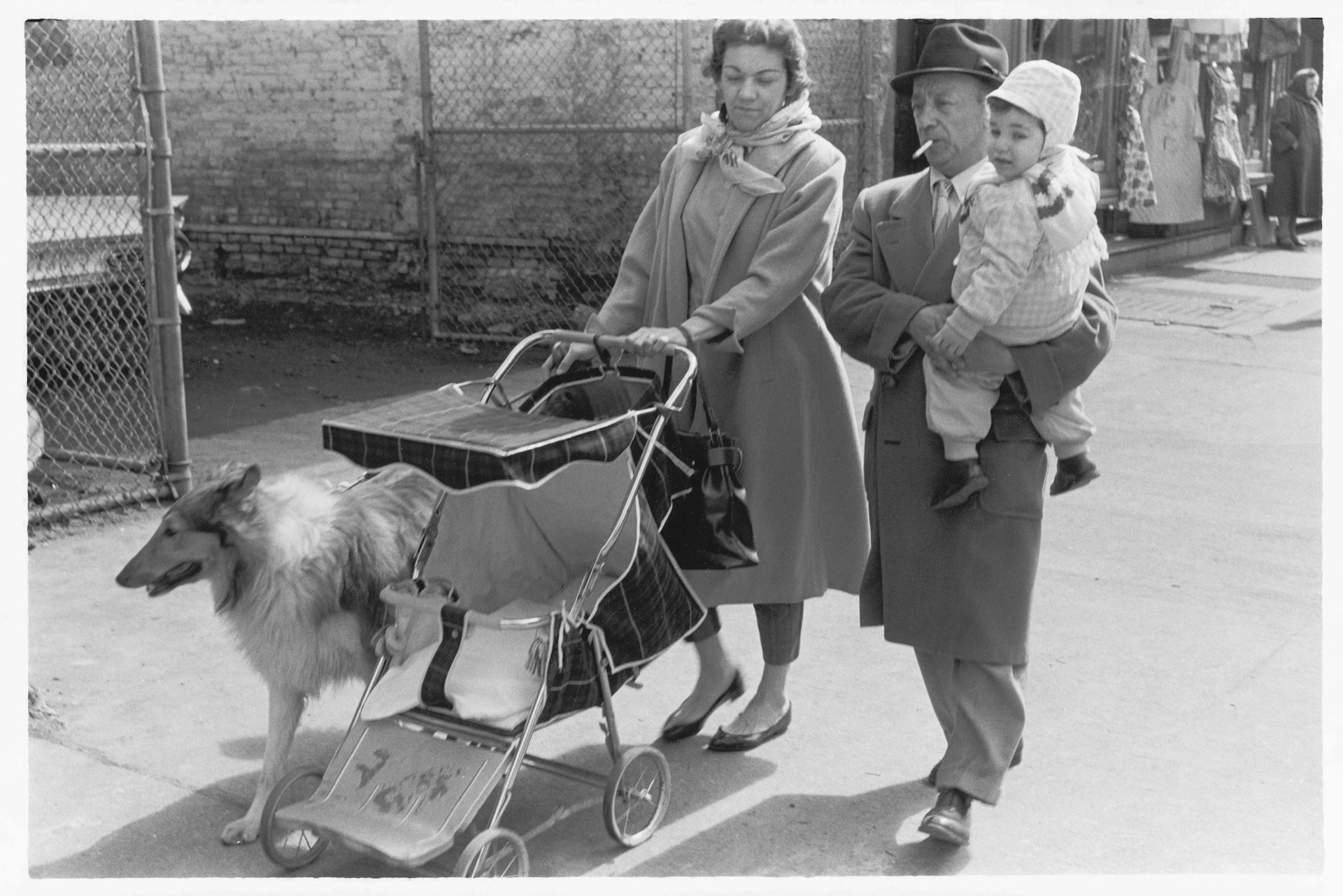 Family out for a walk with collie, 1960