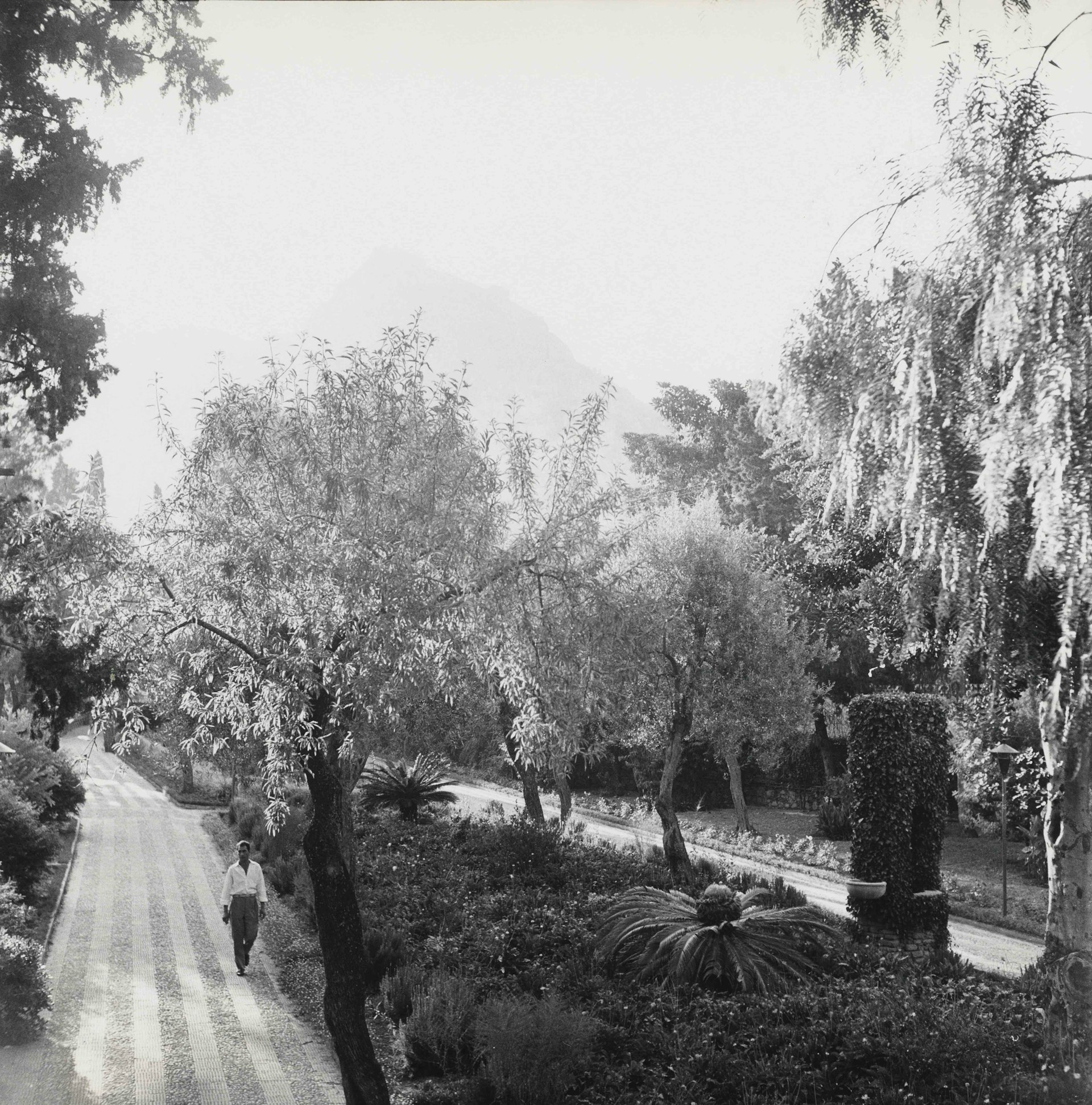 Public Garden, Taormina, Sicily, 1959