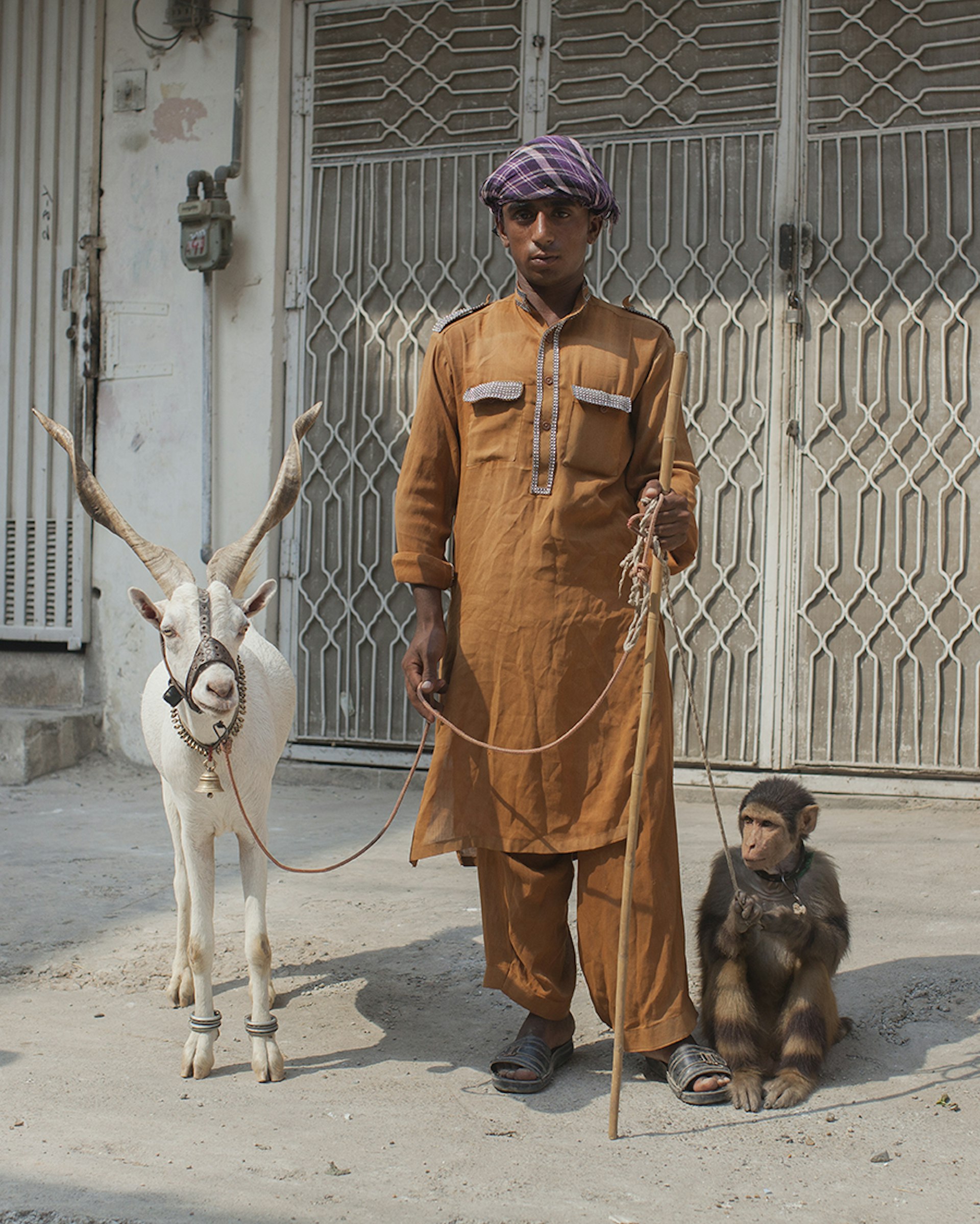 Animal entertainer © Mahtab Hussain