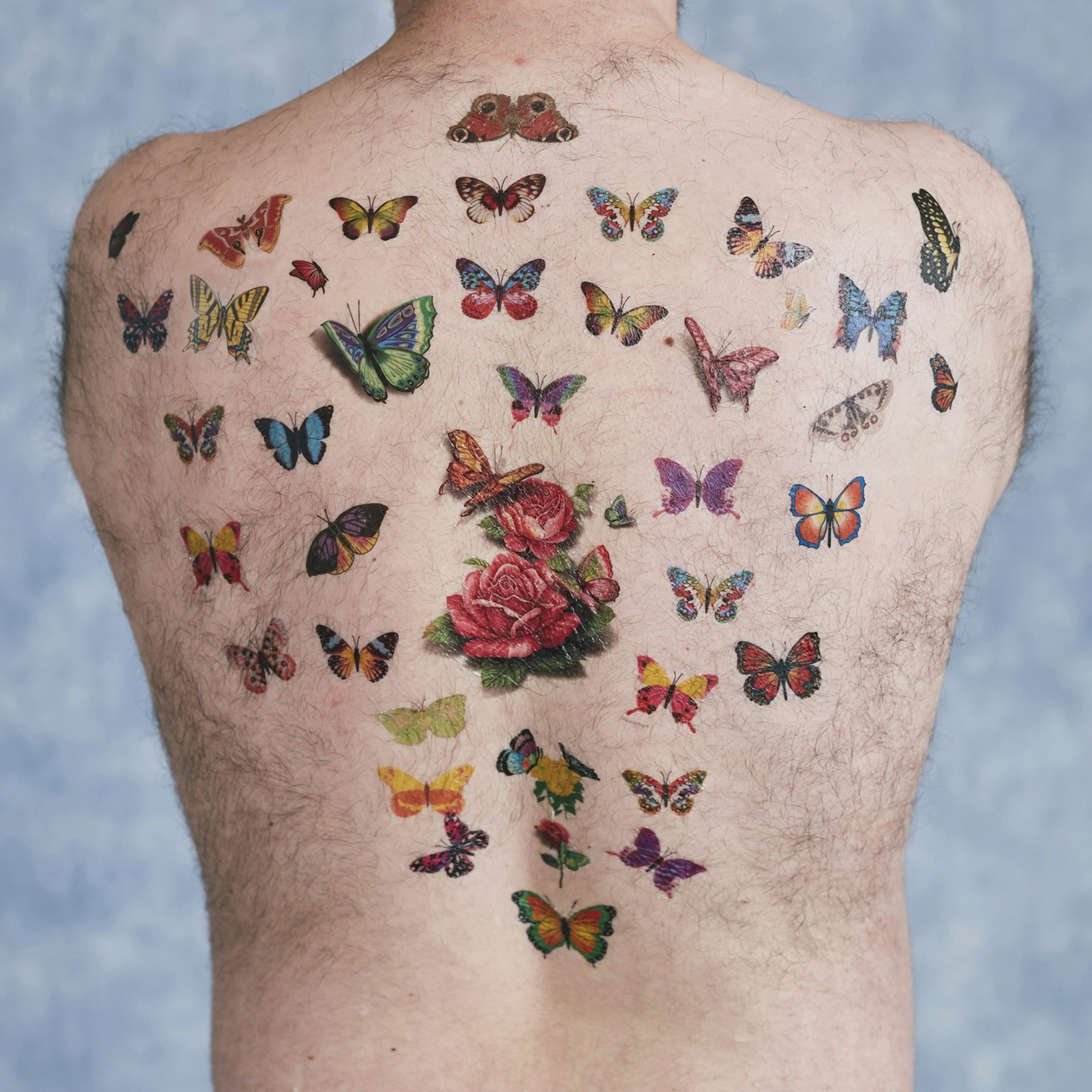 Luke_&_The_Butterfly_Tattoo_0037
