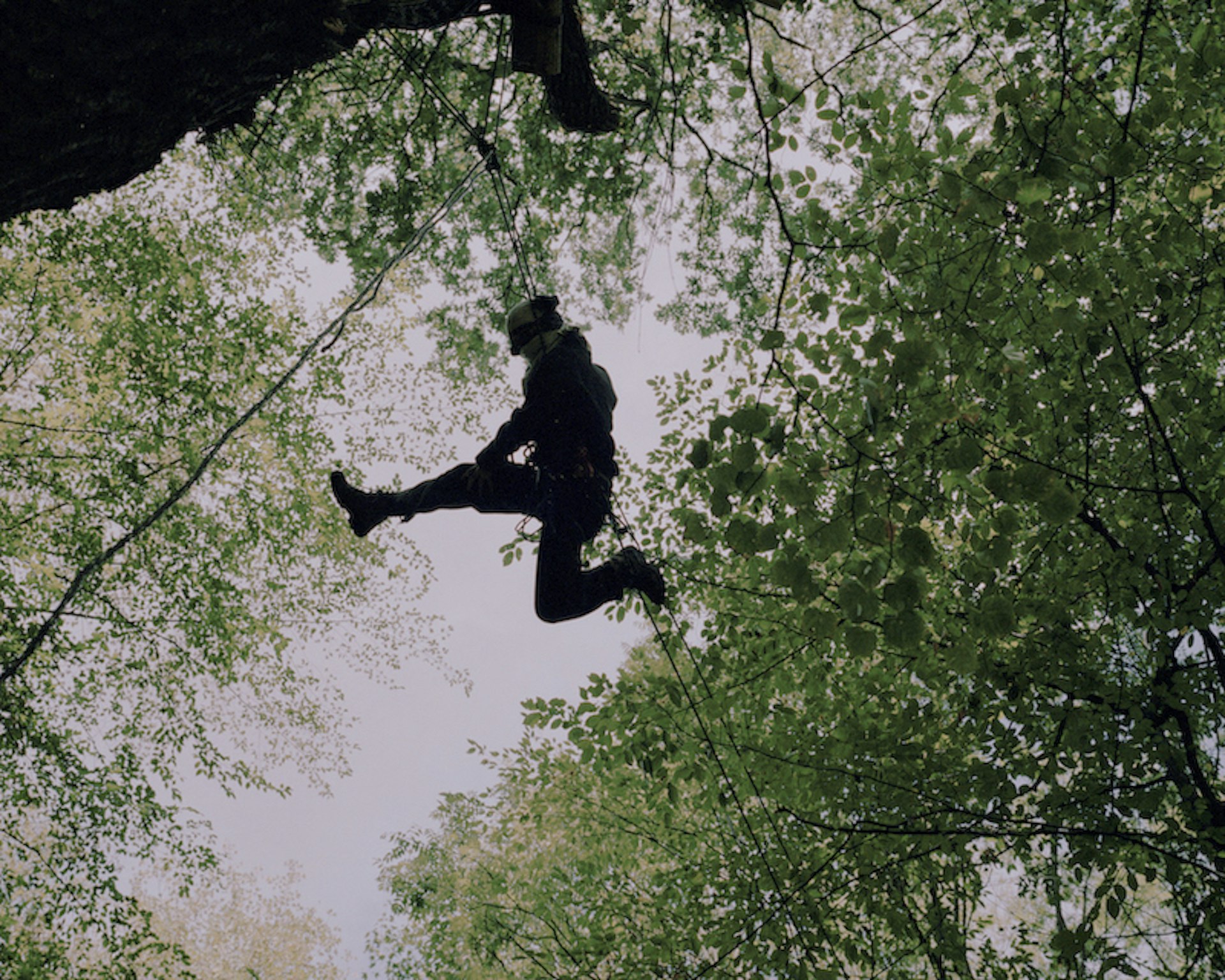 An activist on a zipline between trees