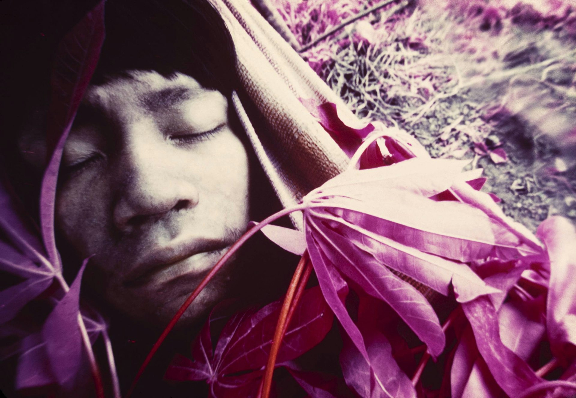 Amazon Youth Wakatha u thëri victim of measles, is treated by shamans and paramedics from the Catholic mission, Catrimani, Roraima, 1976.