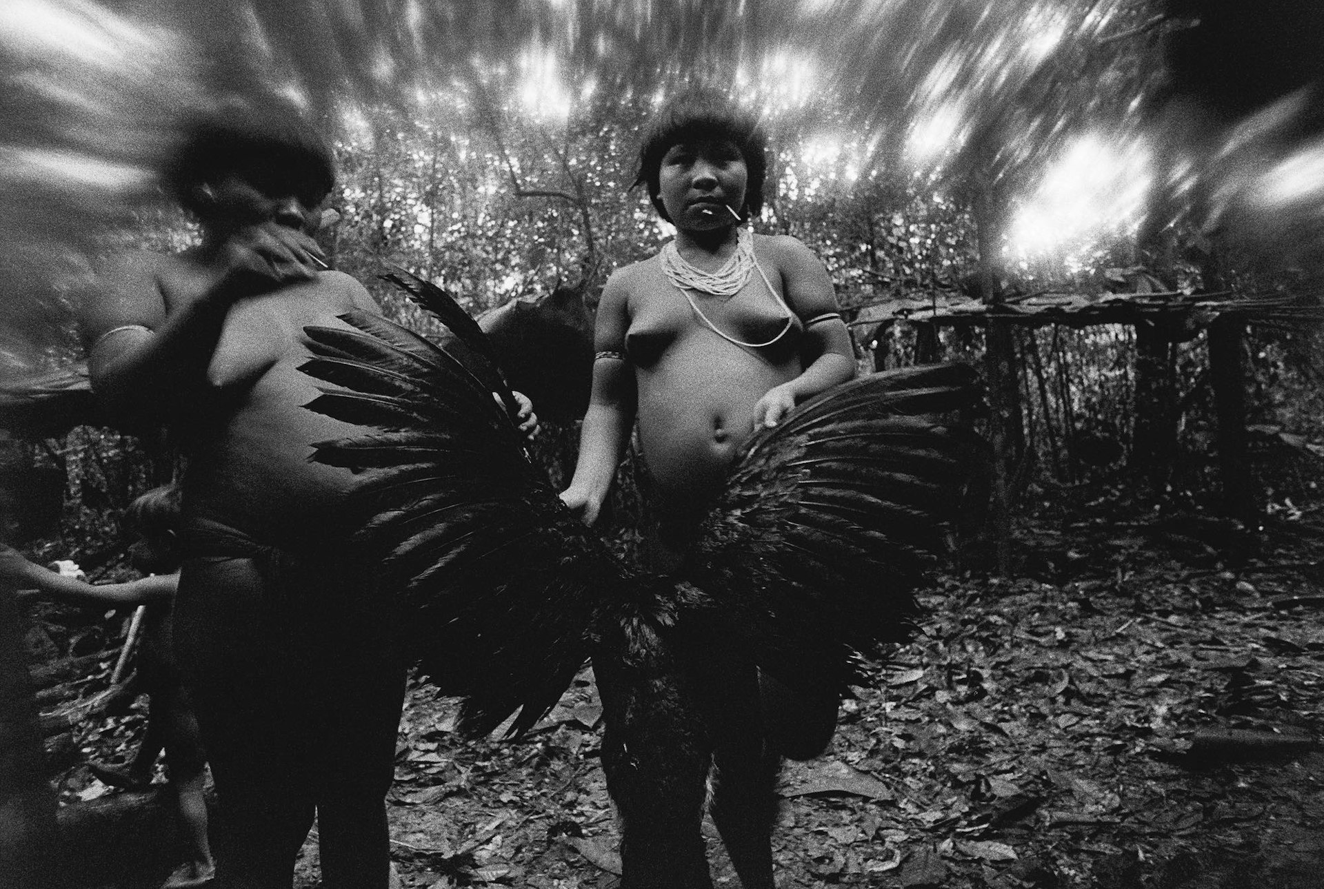 Amazon Candinha and Mariazinha Korihana thëri clean redbilled curassow, whose plumage is used to feather arrows, Catrimani, Roraima, 1974
