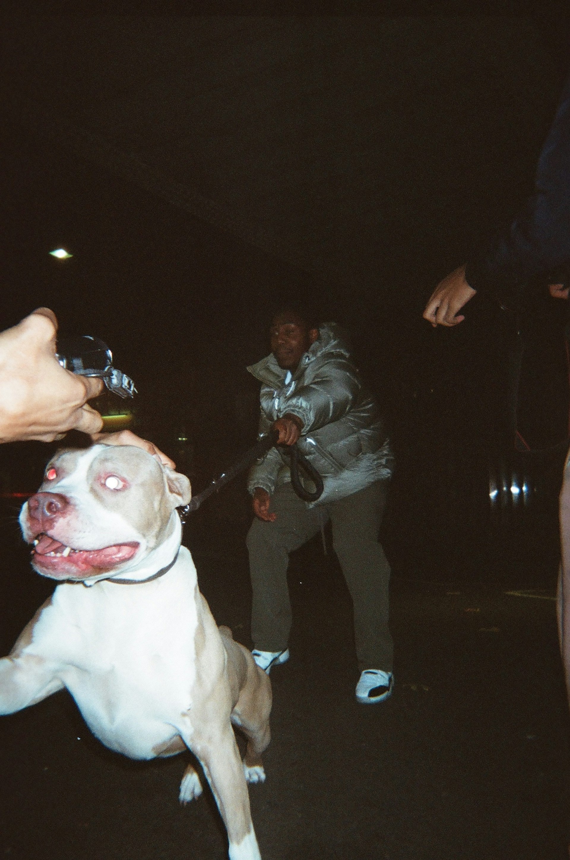 Brixton rapper Rippa walking a dog at night